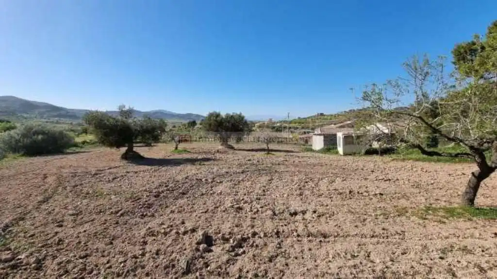 Terreni e lotti in vendita a Pedanías Oeste, imagen 7