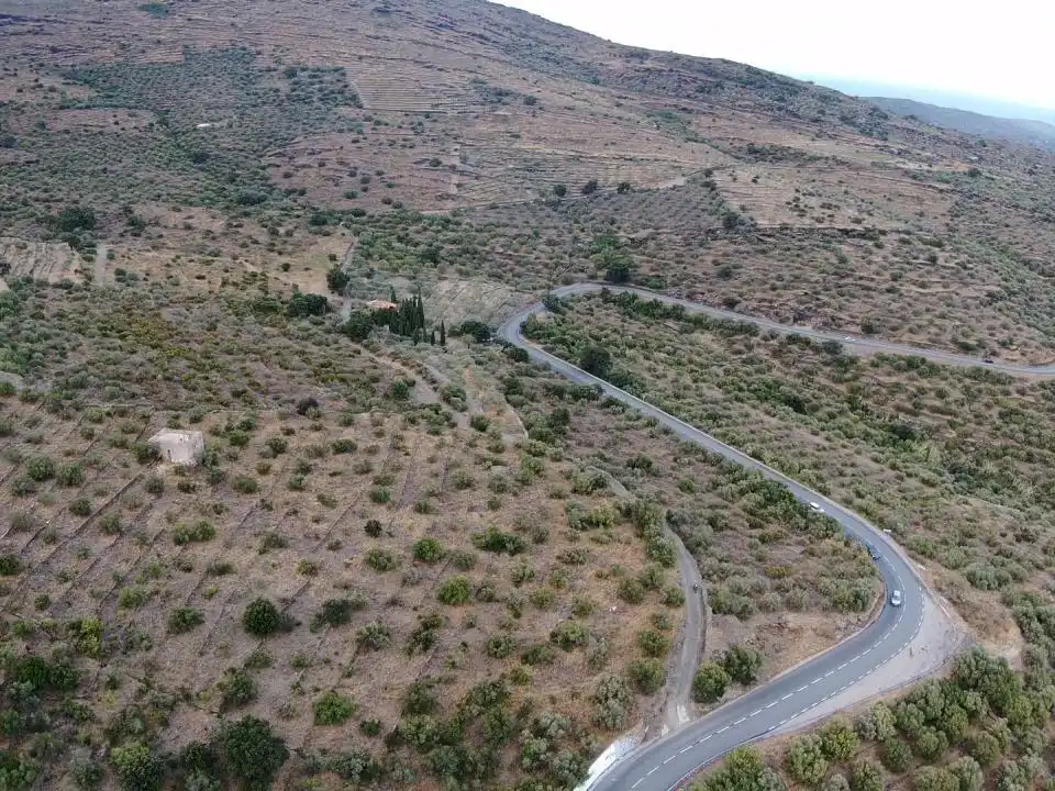 Lands and plots for sale in Territorio Surés, imagen 12