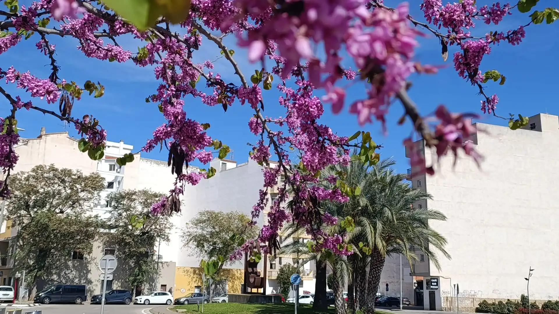 Vista exterior de Piso en venta en Dénia con Aire acondicionado, Horno y Lavadora