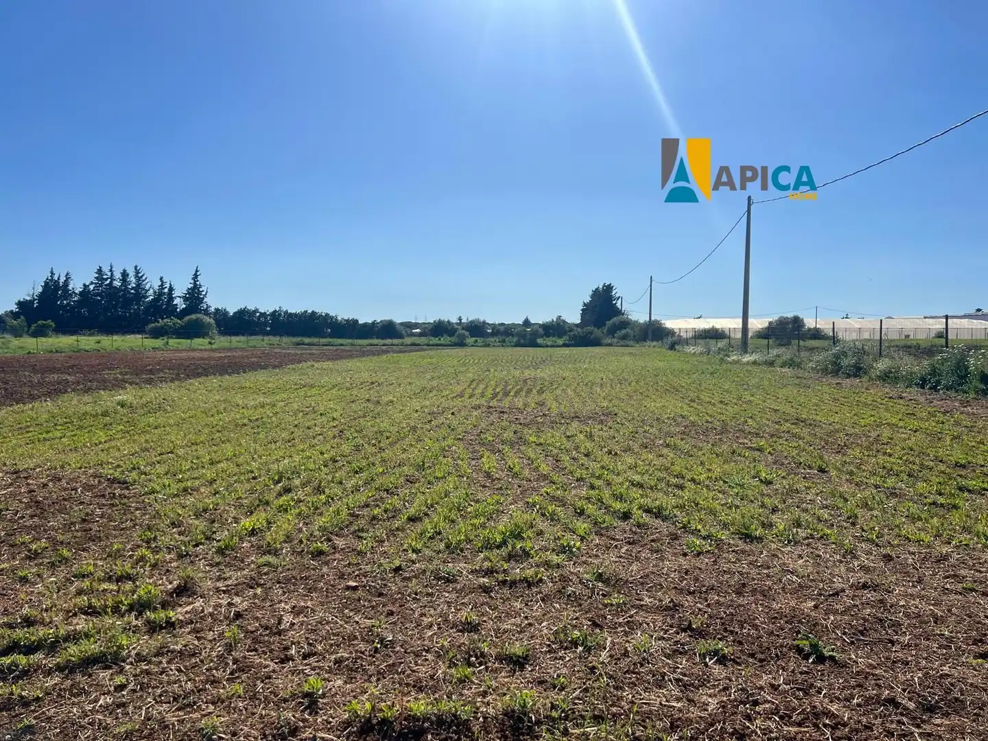 Terreno en venta en Conil de la Frontera