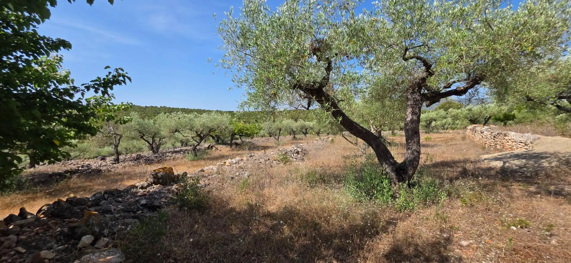 Casa rustica con piscina in vendita a El Perelló, imagen 45