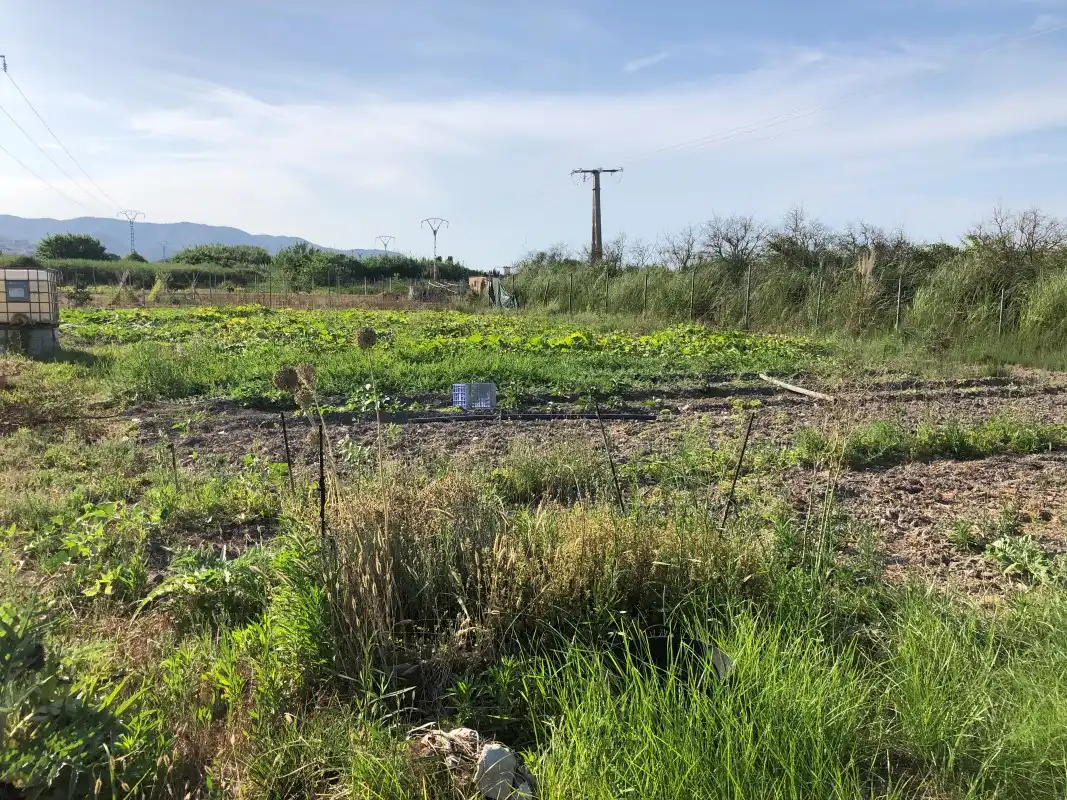 Terreno en venta en Gandia