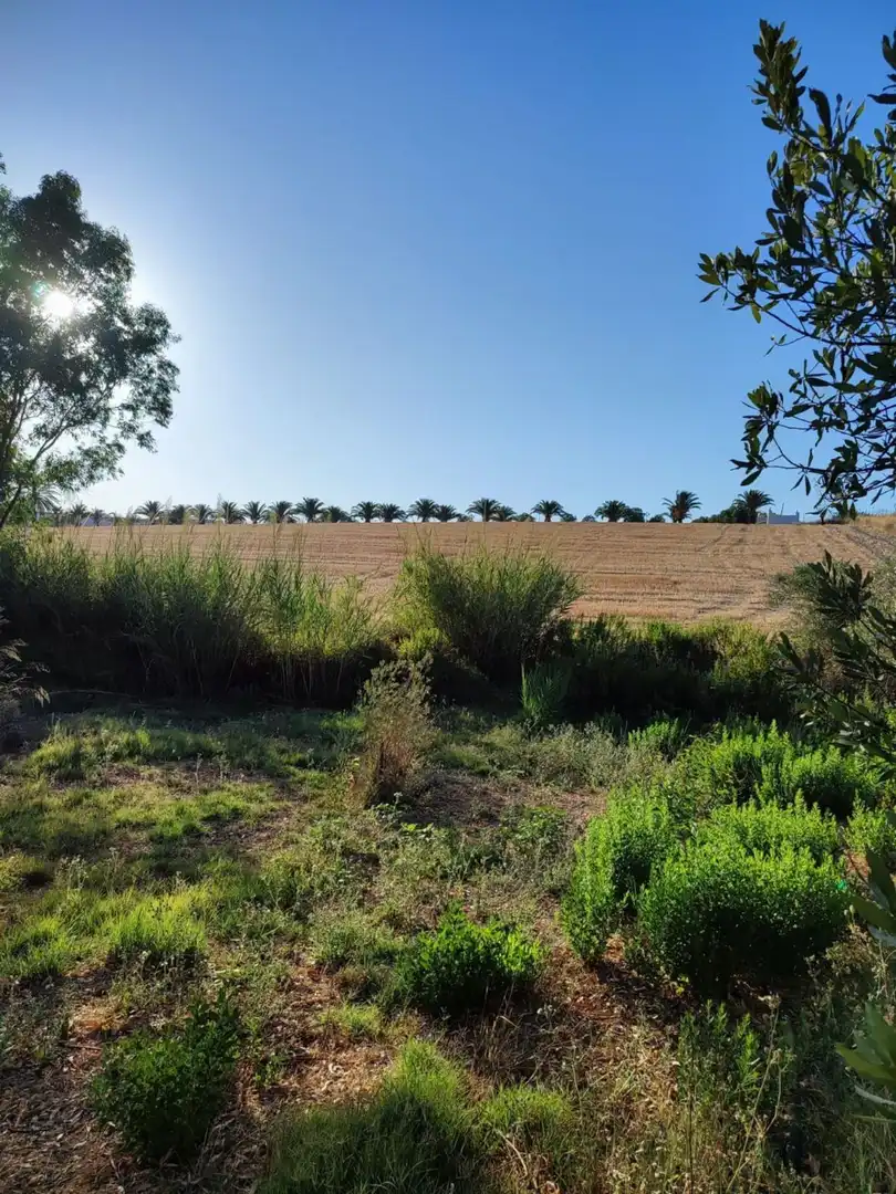 Terreno residencial en venta en Arcos de la Frontera, imagen 26