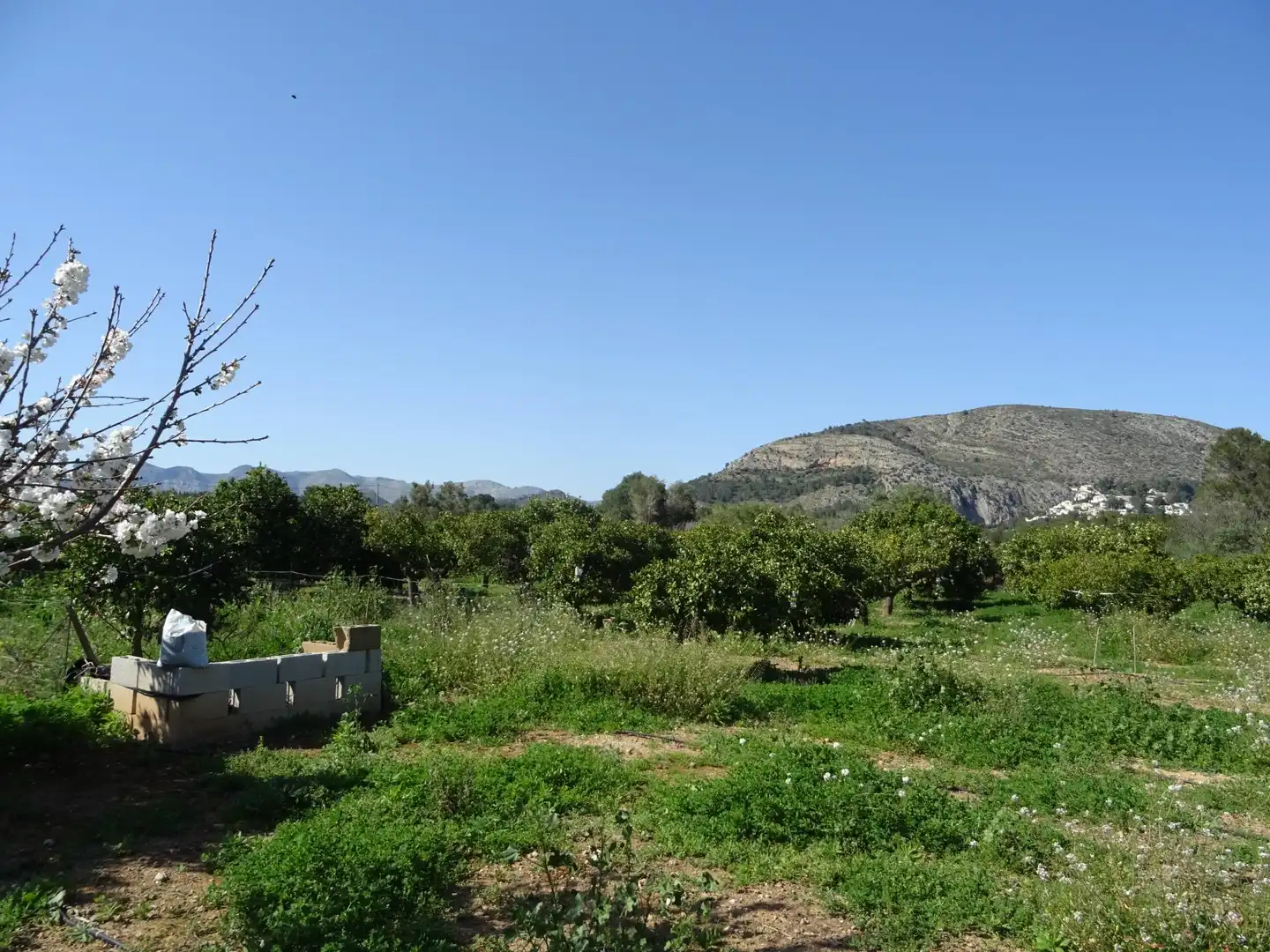 Terreny residencial en venda a Alcalalí