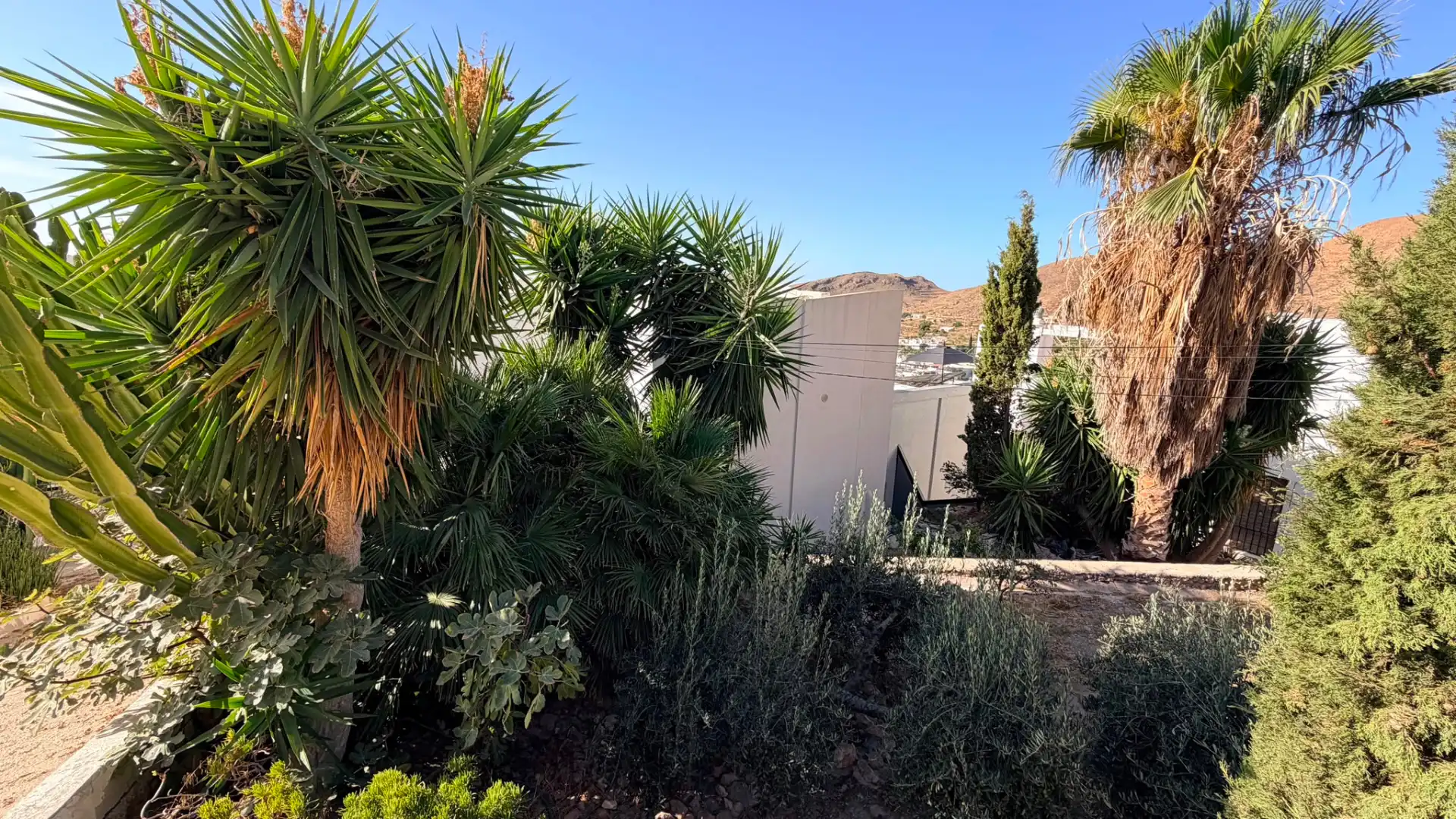 Vista exterior de Casa o xalet en venda en Níjar amb Aire condicionat, Terrassa i Moblat