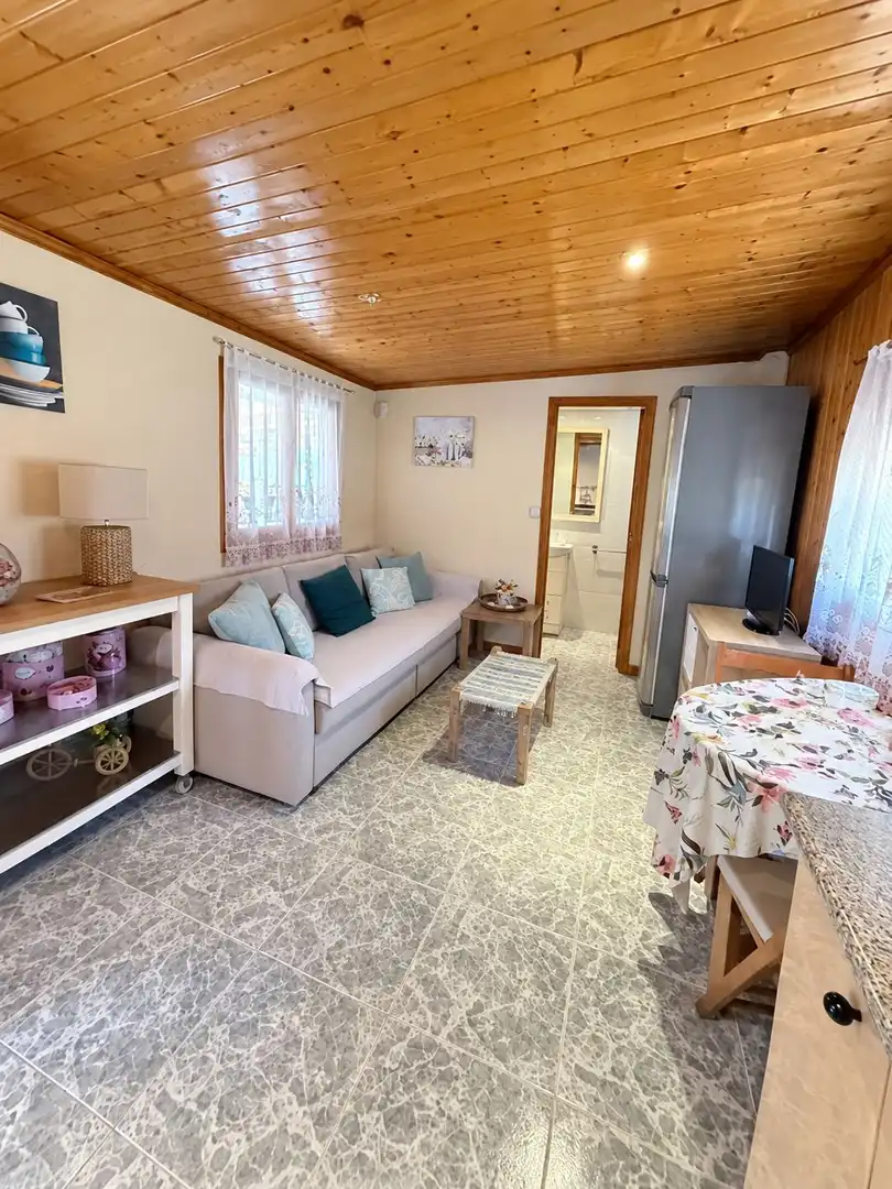 Casa en venda a MENTA   ( PLANA TORRES), imagen 45