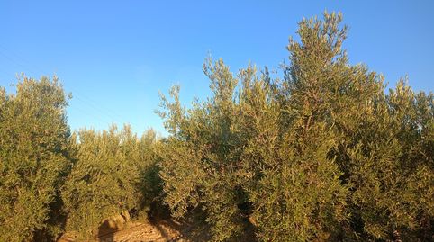 Foto 4 de Residencial en venda a Parrilla, Lorca