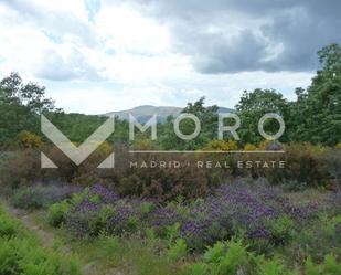 Land for sale in Navaconcejo