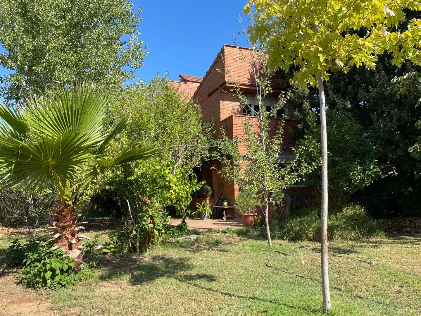 Casa con giardino in vendita a Calle Mimosa, imagen 4