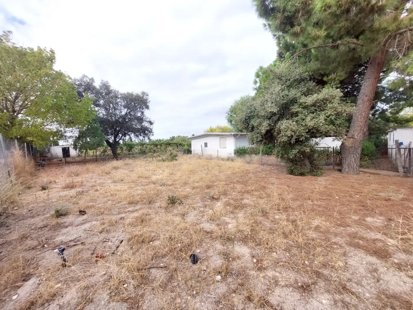 Terreni e lotti in vendita a Santa Cruz del Retamar pueblo, imagen 11
