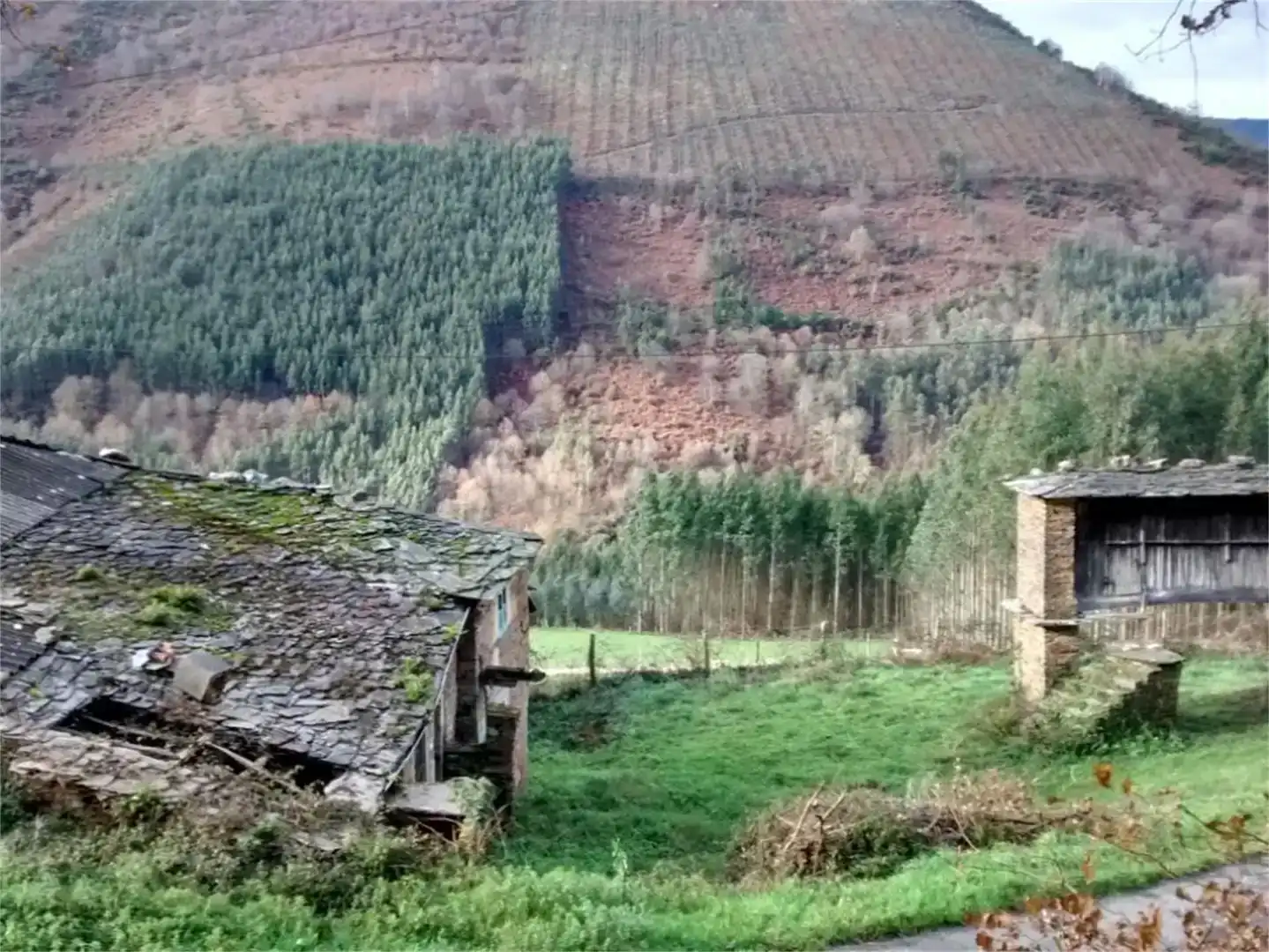 Vista exterior de Finca rústica en venda en A Pontenova  