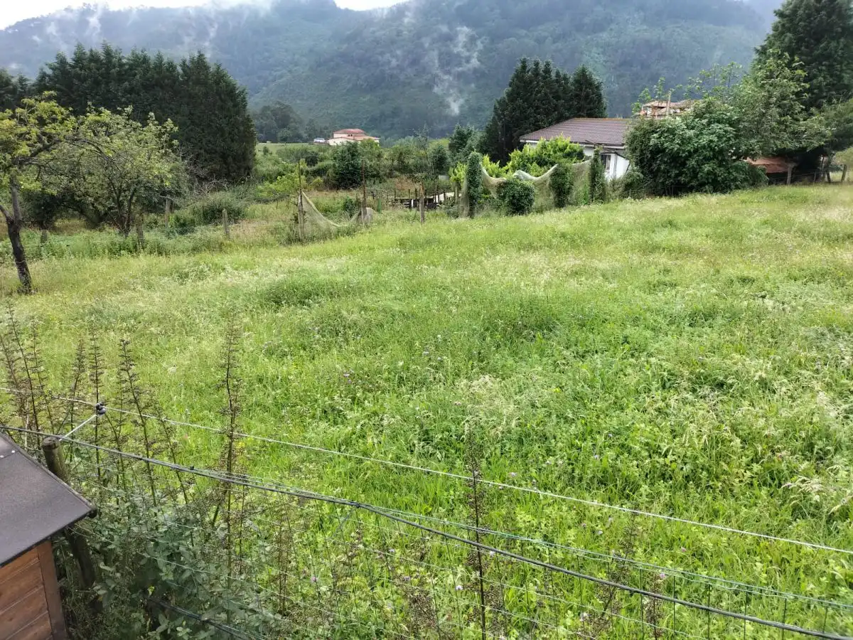 Residential land for sale in Grado, imagen 5