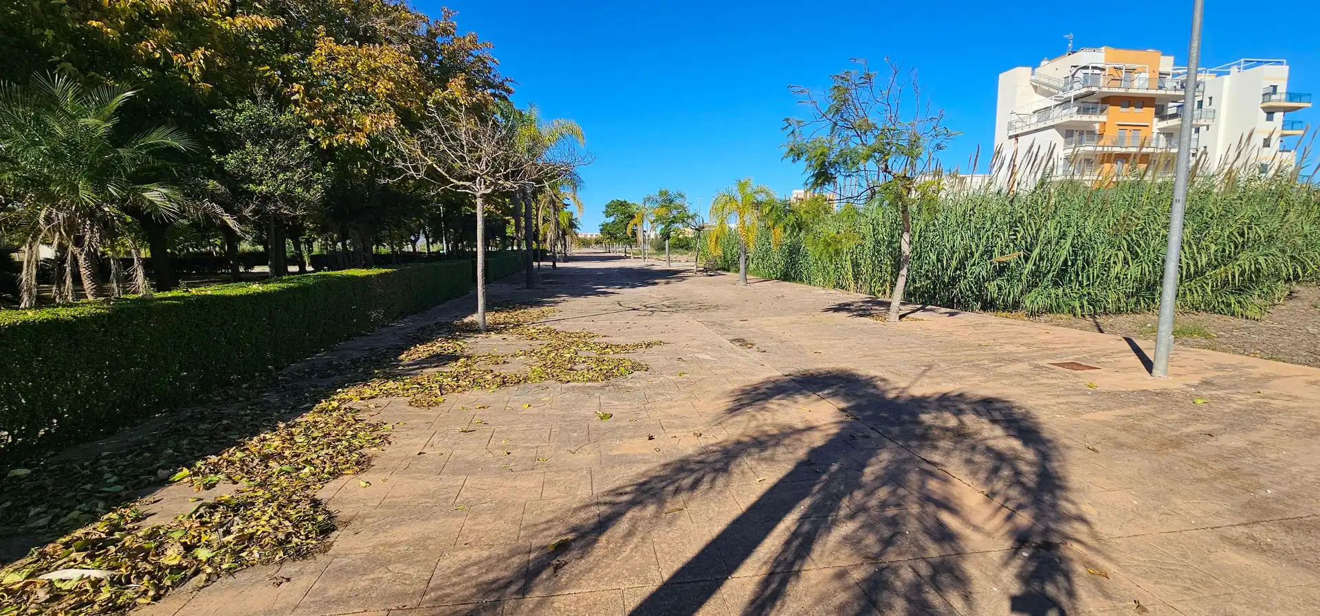 Residencial en venda a Carrer Mestral, 4, Piles, Spain, 4, Piles