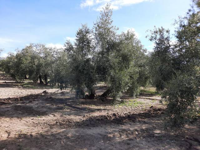 Terreno en Venta en San Francisco