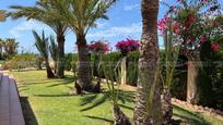 Jardí de Casa o xalet en venda en Benidorm amb Aire condicionat, Terrassa i Piscina