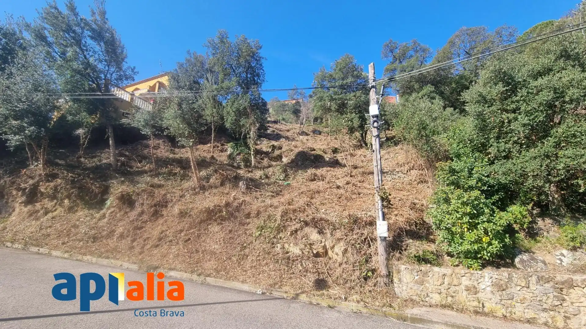 Terreny residencial en venda a Xiprer 28, imagen 5