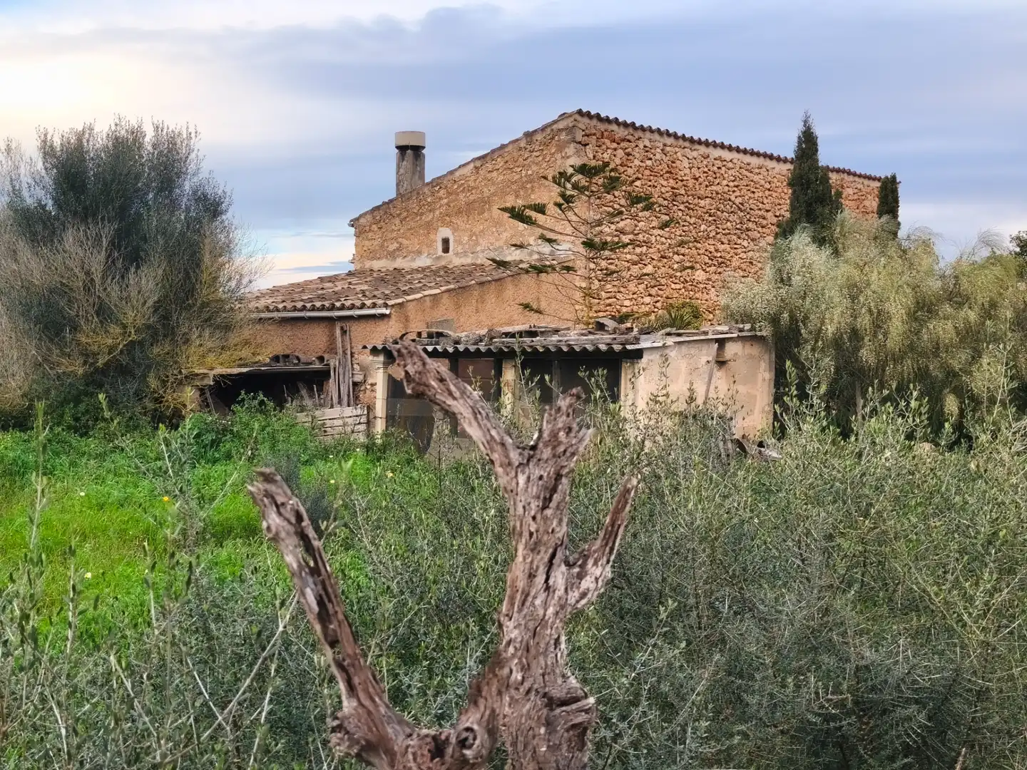House with garden for sale in Algaida, imagen 7