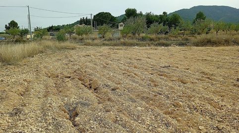 Terreno en venta en Monovar.