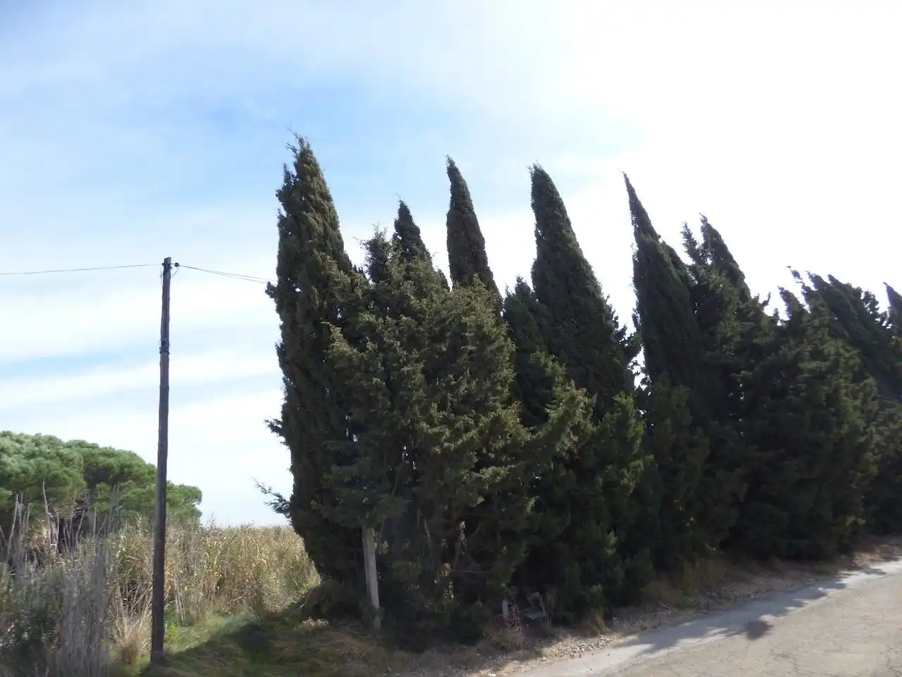 Terreny residencial en venda a Palafolls, imagen 3