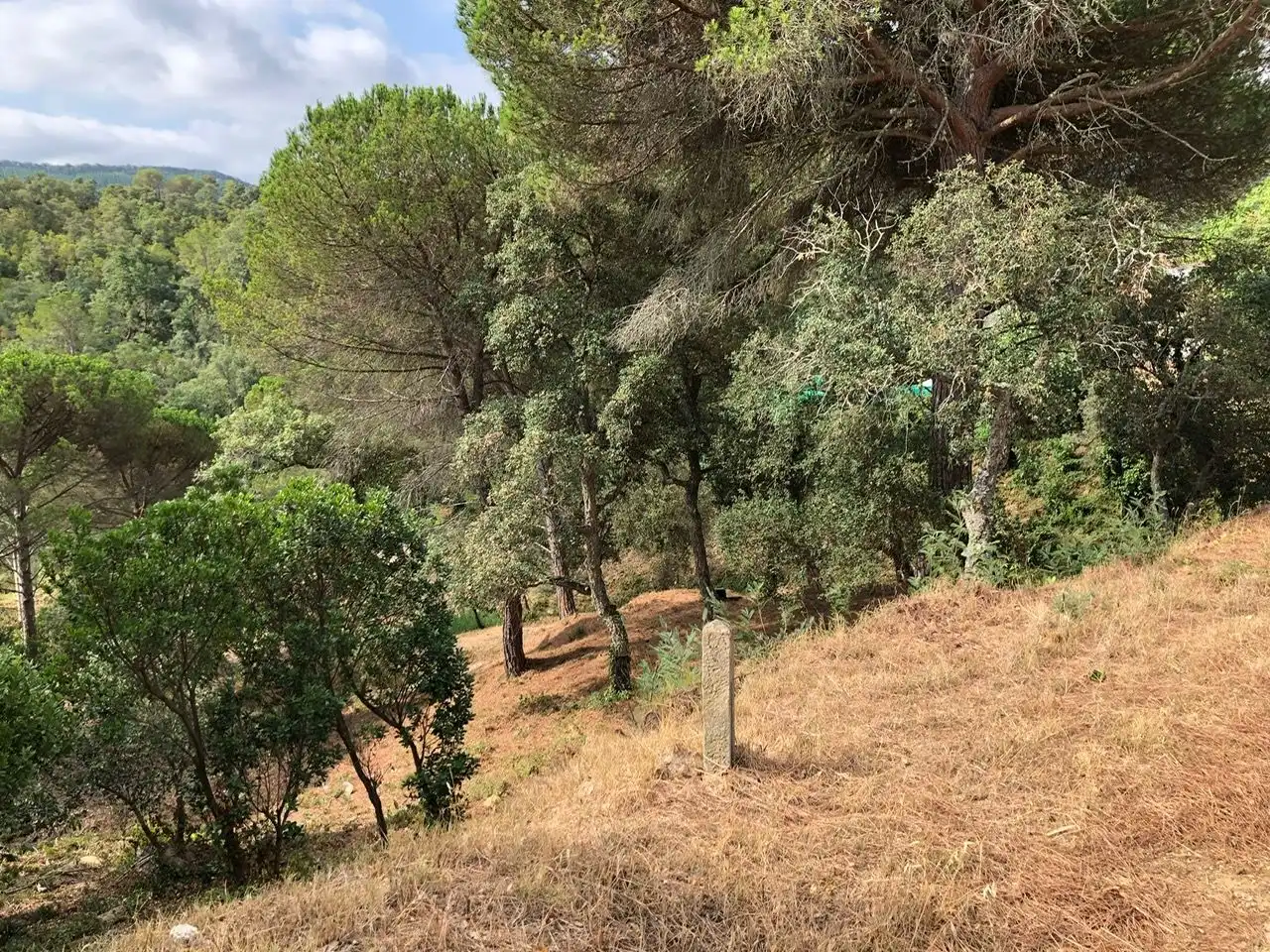 Residencial en venta en Carrer Muntanya, Niàgara Parc - Ágora Parc