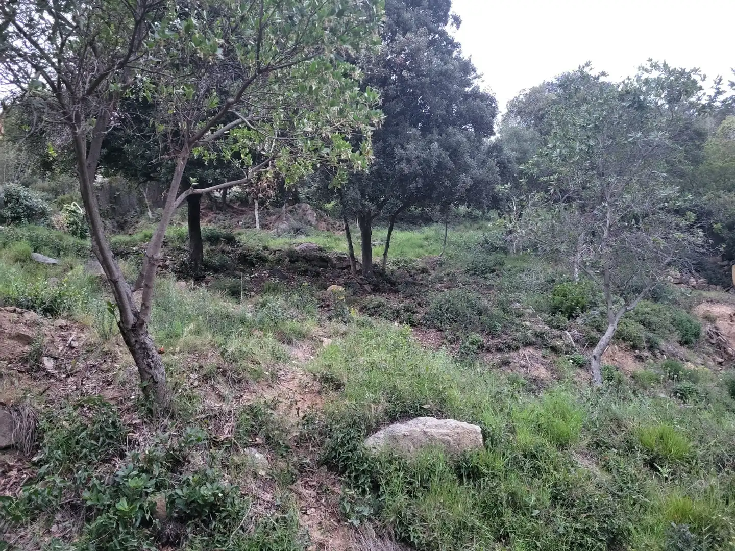 Terreny residencial en venda a Carrer Mirador, imagen 4
