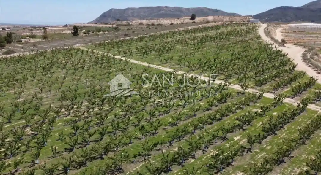 Terreno residencial en venta en Monforte del Cid, imagen 3