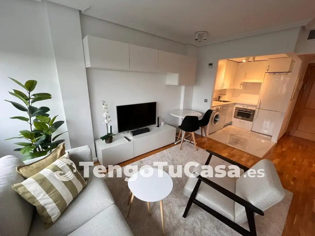 Wohnzimmer von Wohnung zur Miete in  Madrid Capital mit Möbliert, Ofen und Waschmaschine