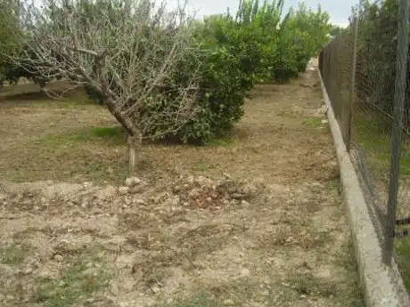 Terreny rústic en venda a Ribera de Molina - Torrealta, imagen 3