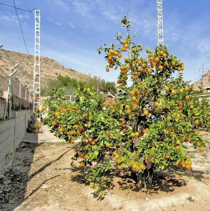House or chalet for sale in Calle homero, Fontcalent