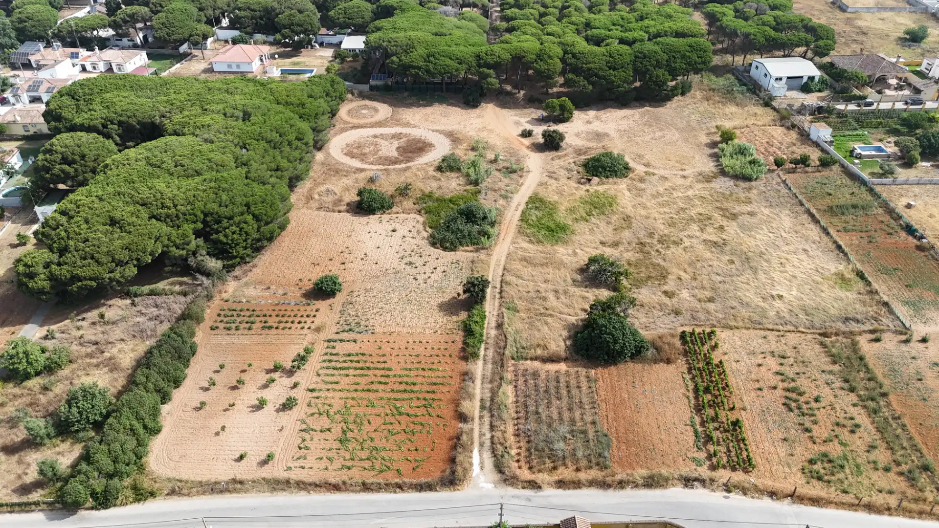 Terrenys i solars en venda a Camino del Lagar 29, imagen 12