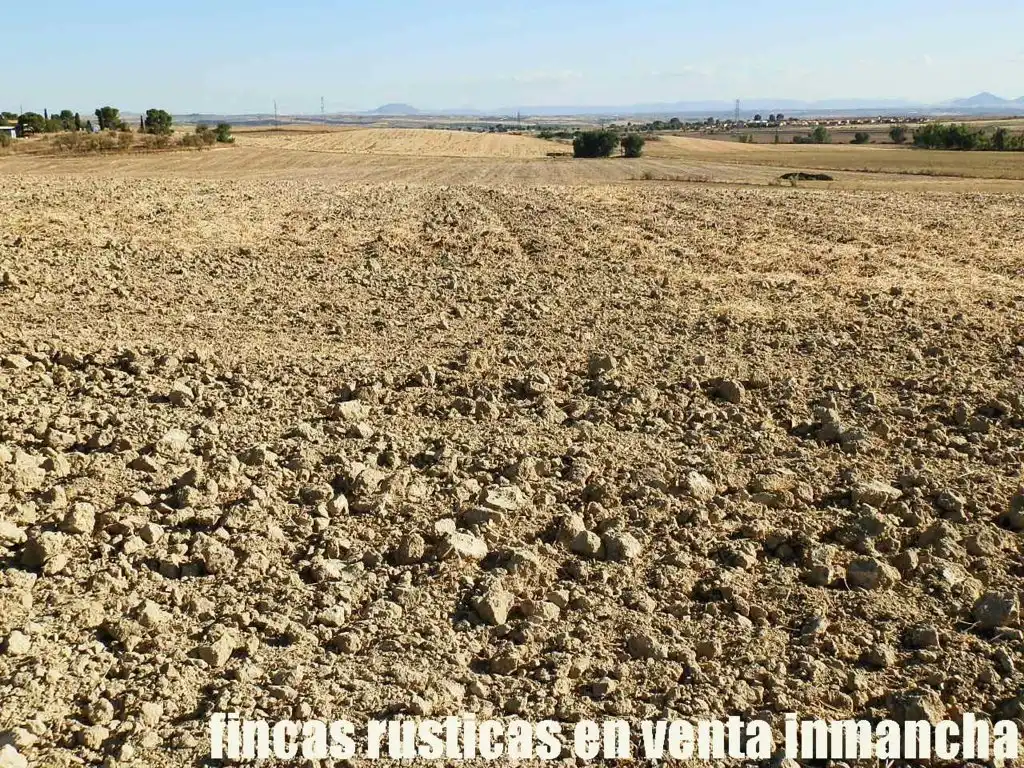 Terreni e lotti in vendita a Bargas, imagen 4