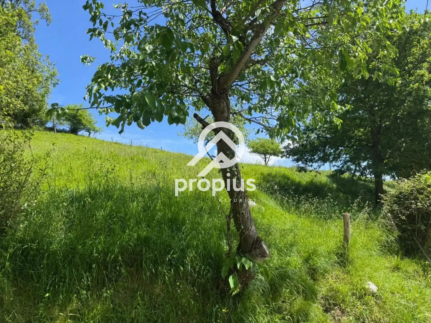 Rural land for sale in ARRIONDAS, imagen 16