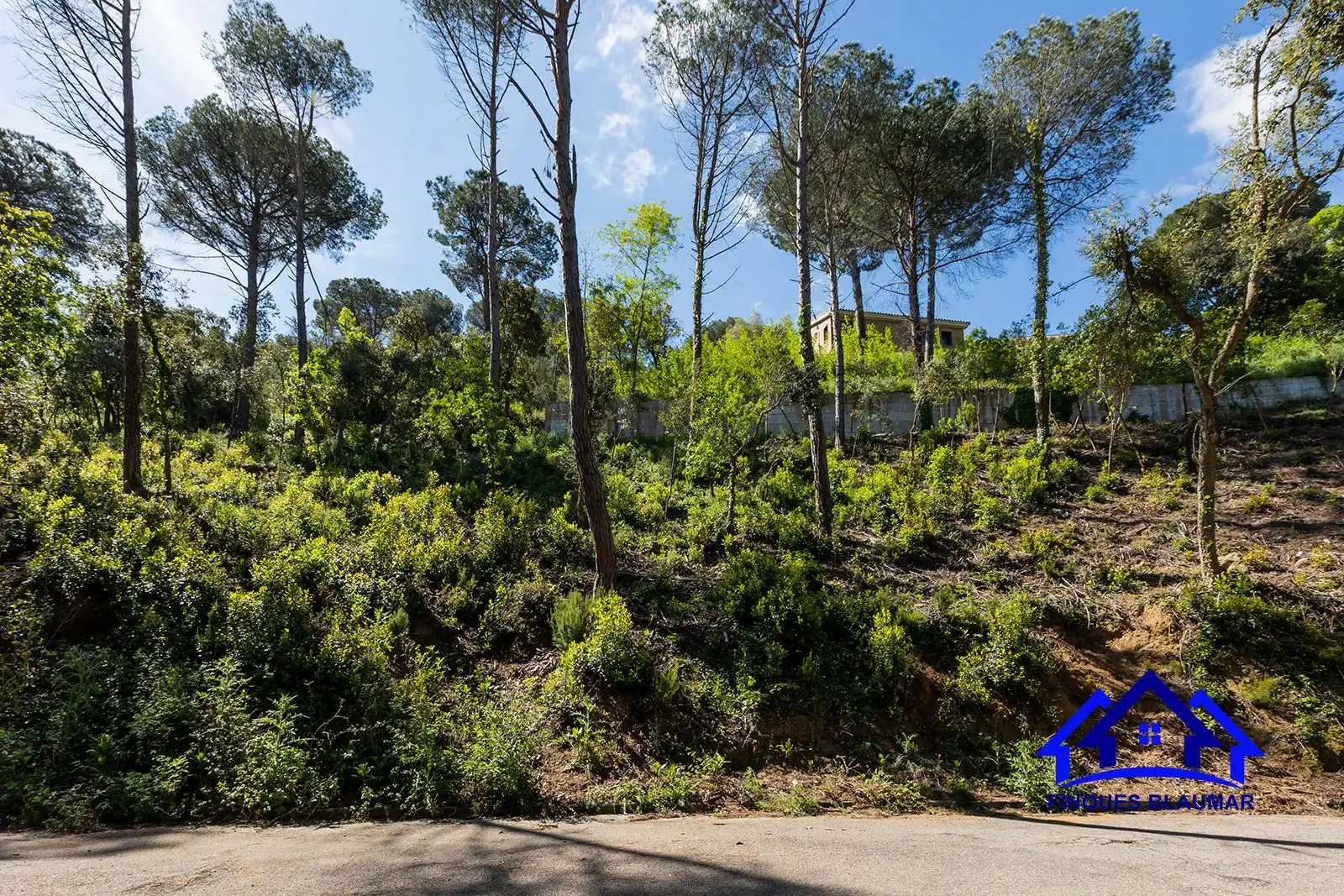 Lands and plots for sale in Vallgorguina, imagen 4