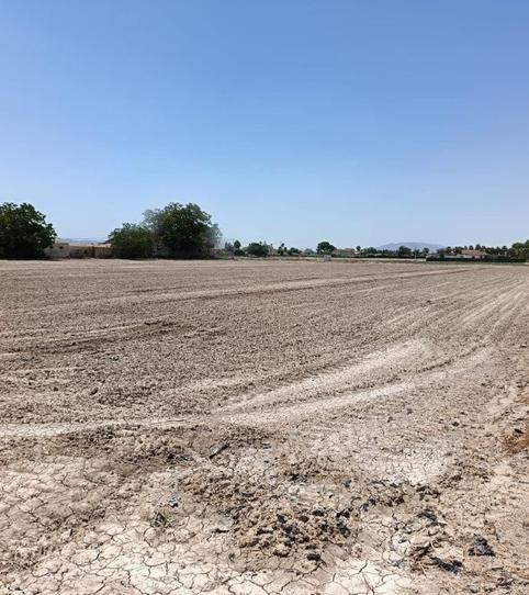 Foto 2 de Residencial en venta en Central, Cazalla, Murcia