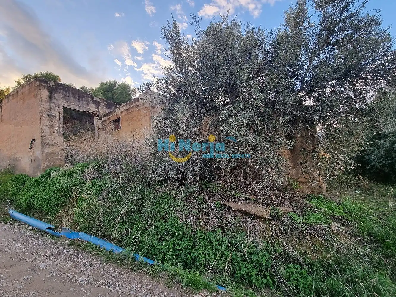 Houses for sale in Nerja