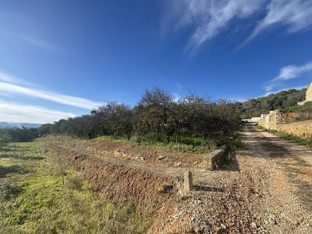 Casa rustica con piscina in vendita a Carcaixent, imagen 22