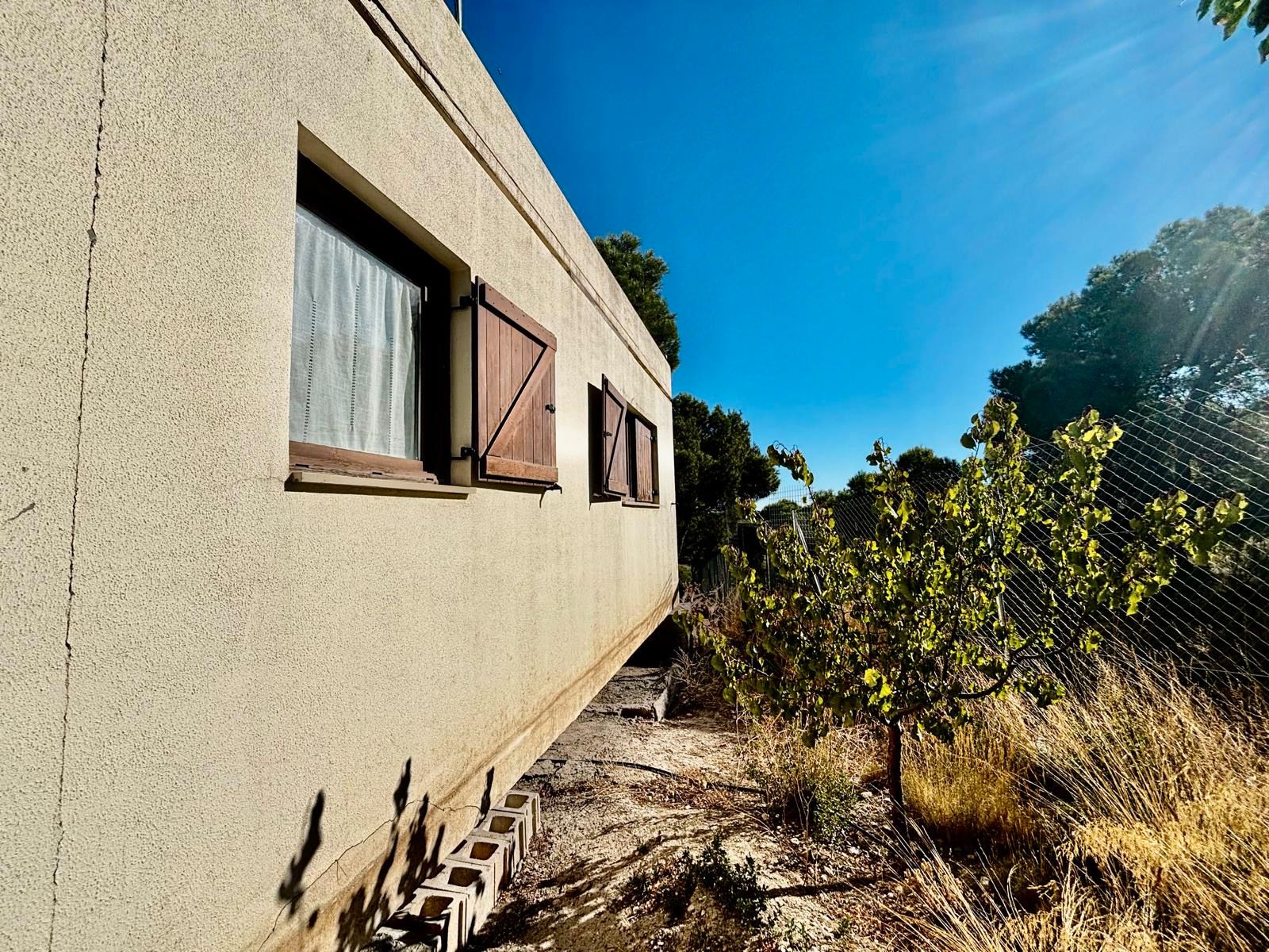 Vista exterior de Finca rústica en venda en La Muela amb Jardí privat i Traster