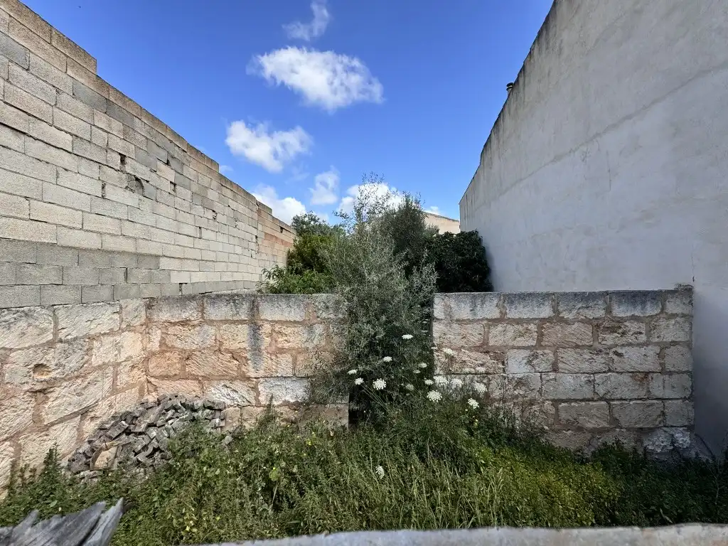 Terreno rustico in vendita a Sa Pobla, imagen 3