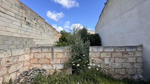 Foto 3 von Grundstücke zum Verkauf in Sa Pobla, Illes Balears