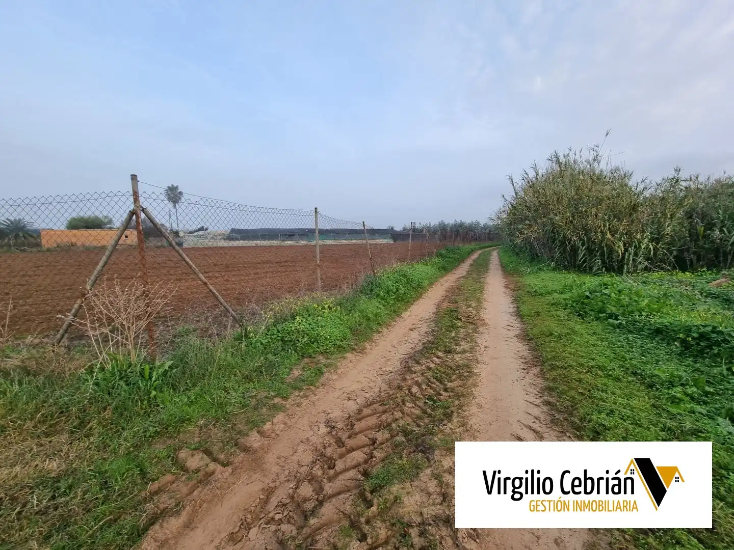Grundstücke und Bauplätze zum Verkauf in Las Tres Piedras - Costa Ballena, imagen 6