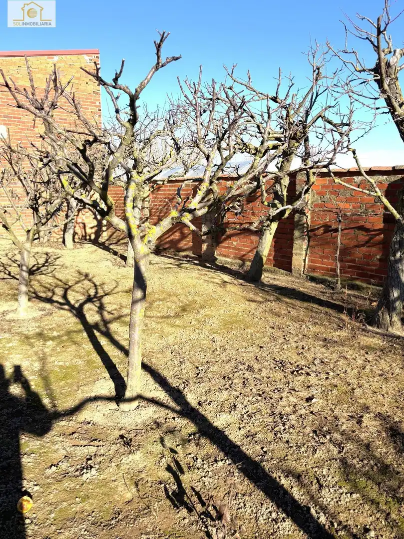 Jardín de Casa o chalet en venta en Villanueva de las Manzanas con Calefacción, Jardín privado y Parquet