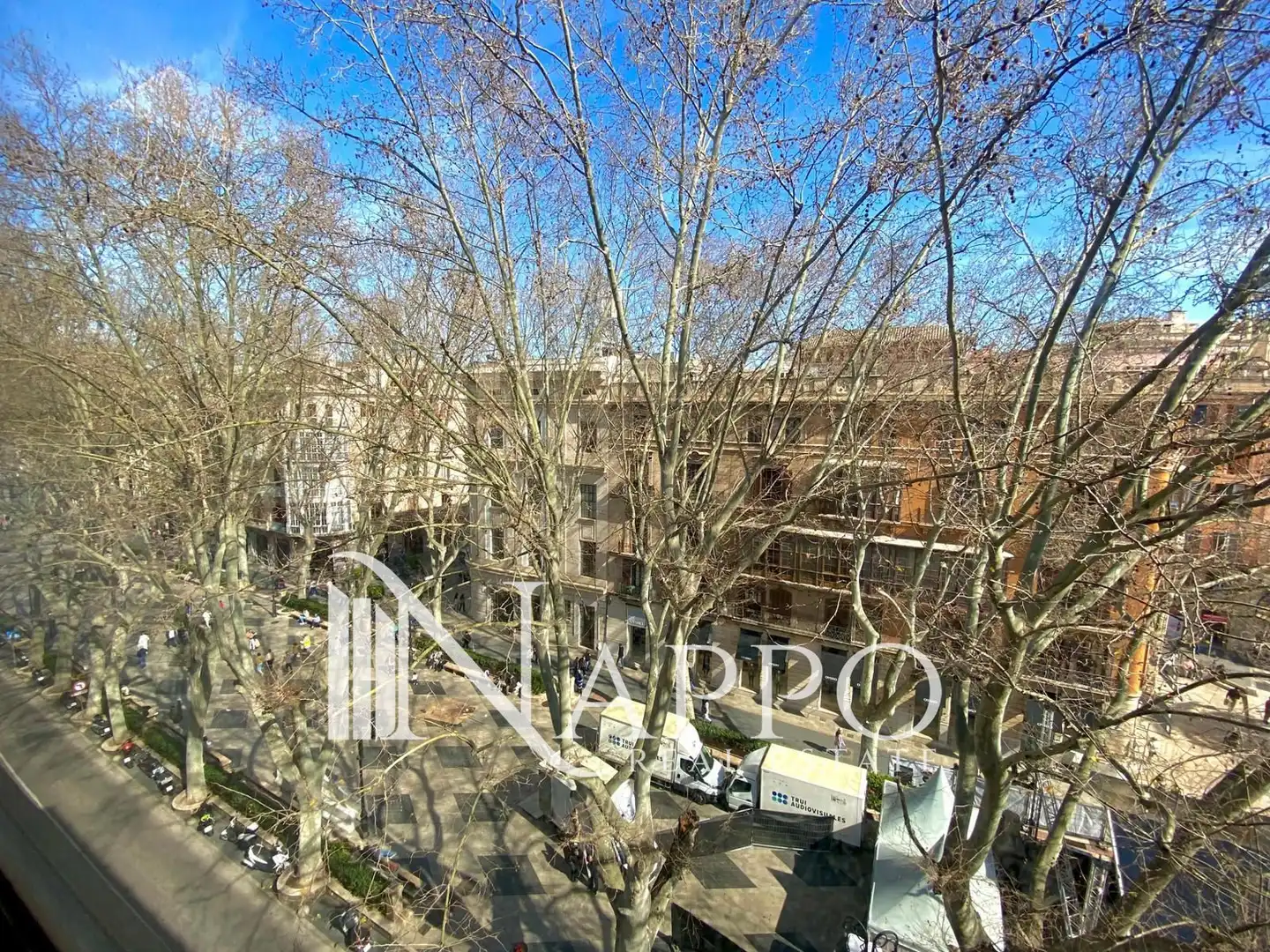 Vista exterior de Oficina en venda en  Palma de Mallorca amb Aire condicionat, Calefacció i Moblat