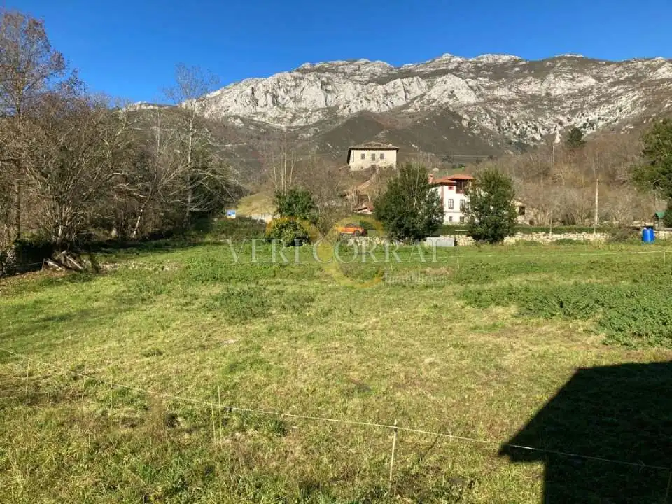 Houses for sale in Besnes, Peñamellera Alta