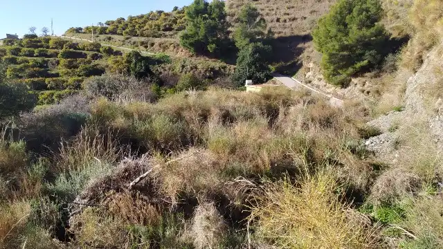 Land for sale in Nerja