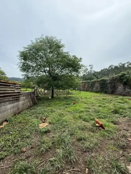 Haus oder Chalet zum Verkauf in Solórzano mit Privatgarten