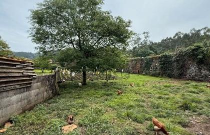 Photo 2 of House or chalet for sale in Solórzano, Cantabria