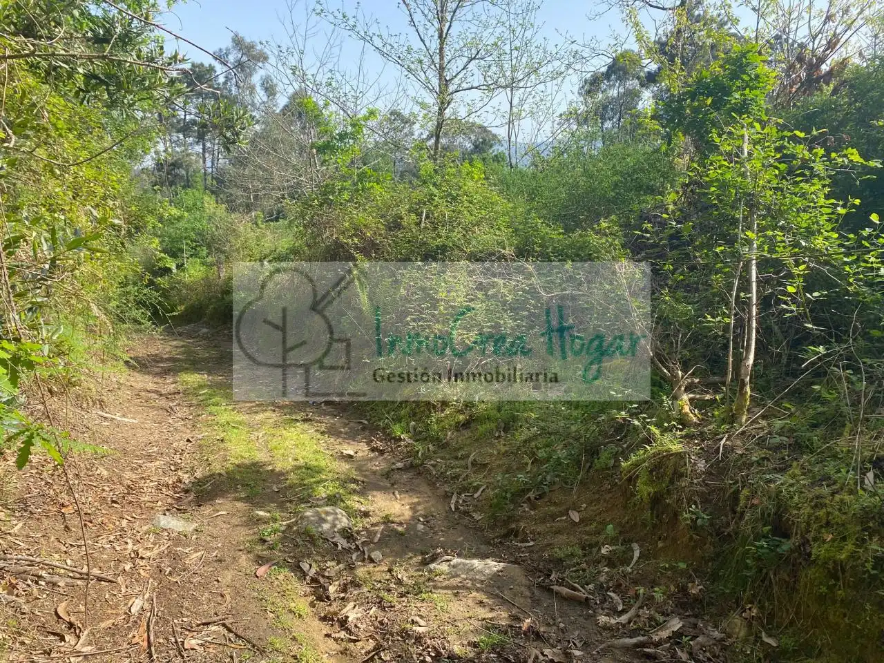 Terreny rústic en venda a Salvaterra de Miño, imagen 18