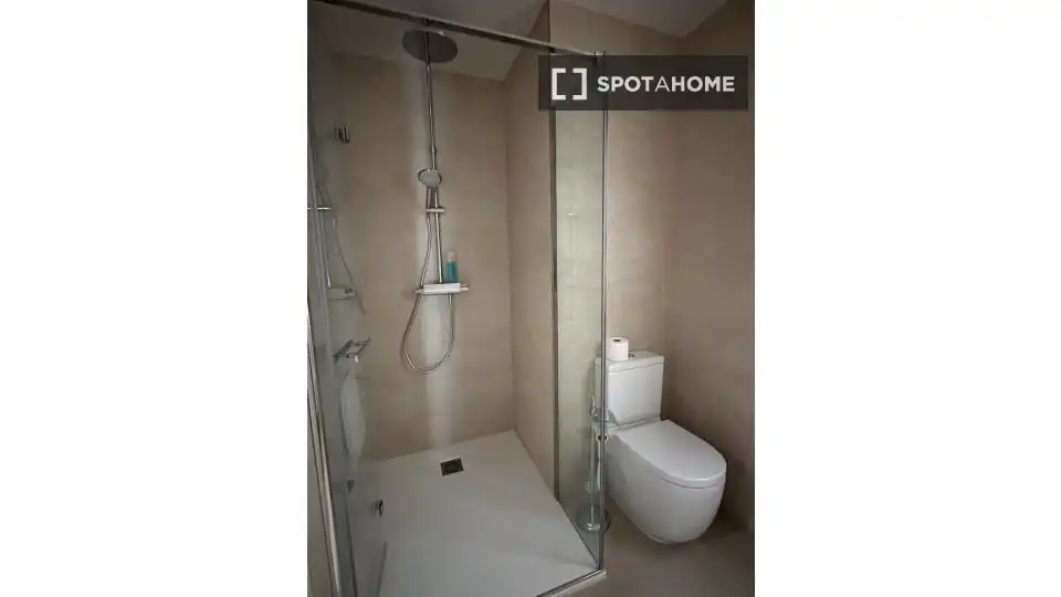Bany de Apartament per a compartir en Donostia - San Sebastián  amb Aire condicionat, Calefacció i Terrassa