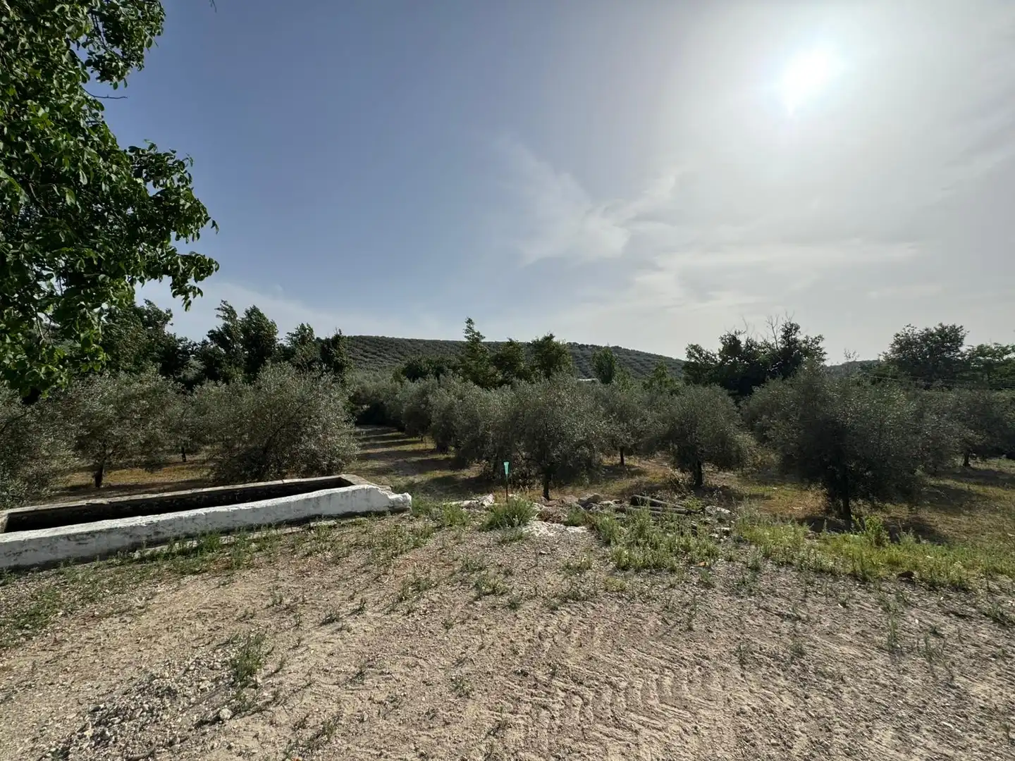 House for sale in Carretera de Rute, imagen 4