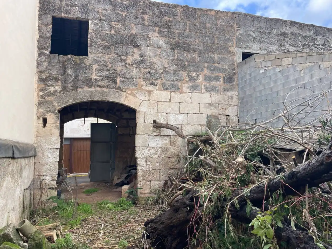 Vista exterior de Casa o chalet en venta en Sa Pobla con Jardín privado y Terraza